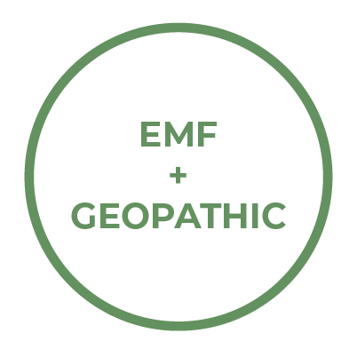 EMF and Geopathic Stress Check